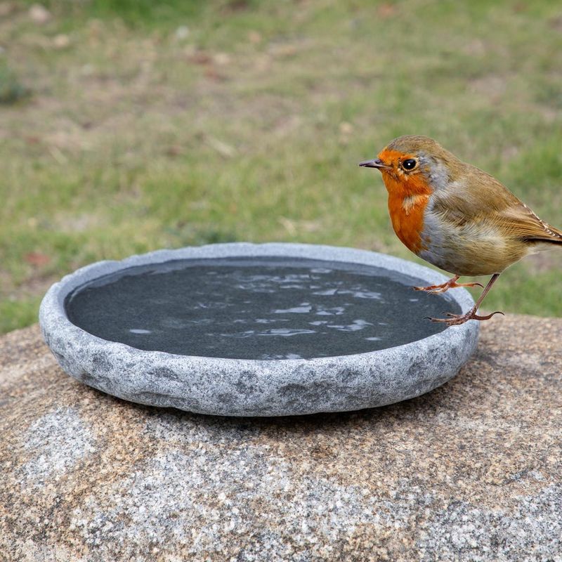Water helps birds generally, not as a bunting guarantee