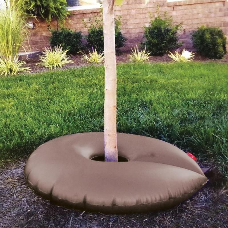 Water the root ball according to conditions Water the root ball according to conditions