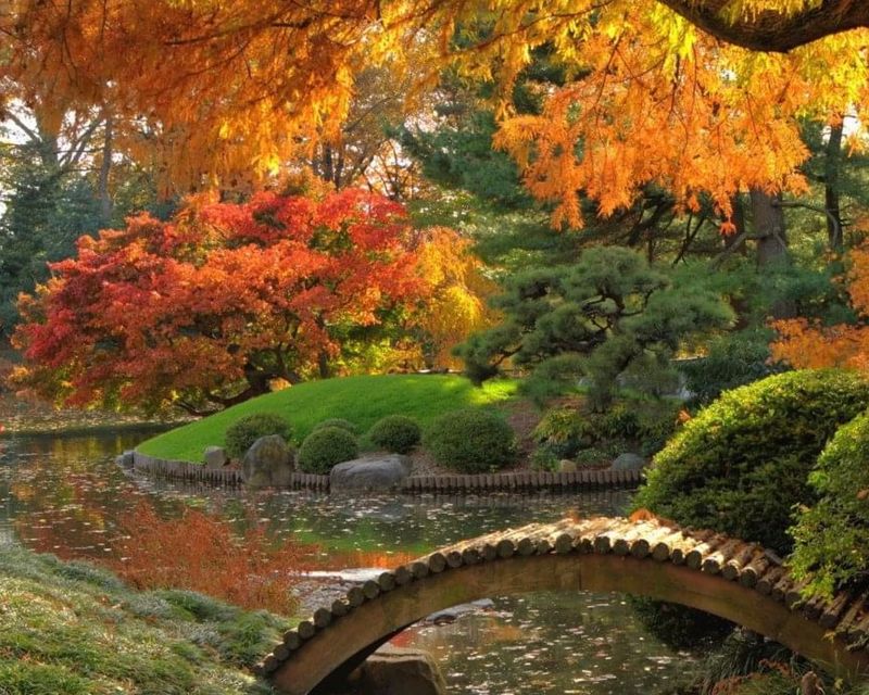 Watered Gardens Can Hold Leaves Longer