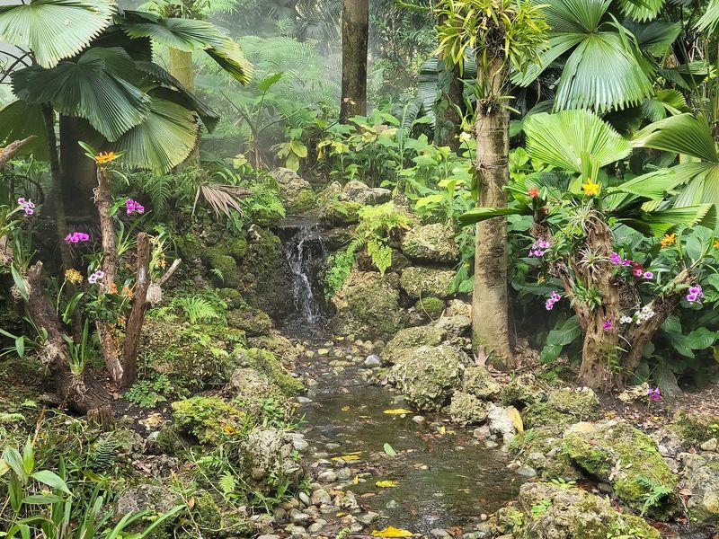 Waterfalls and Vines Wait Inside a Two-Acre Rainforest