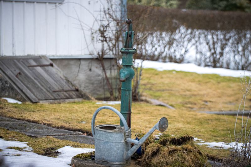 Watering Habits Change When Plants Come Indoors Watering Habits Change When Plants Come Indoors