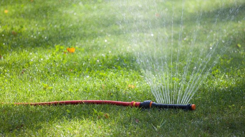 Watering Still Matters Even When Cooler Weather Reduces Demand