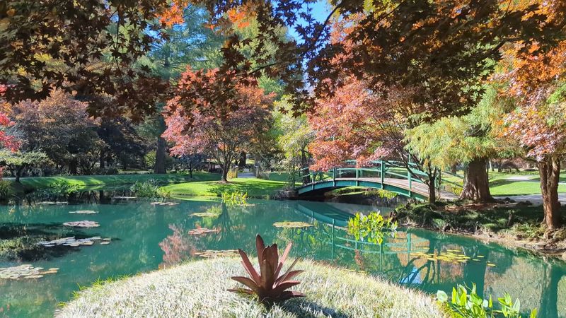 Waterlilies Continue Flowering In The Monet Inspired Ponds Waterlilies Continue Flowering In The Monet Inspired Ponds