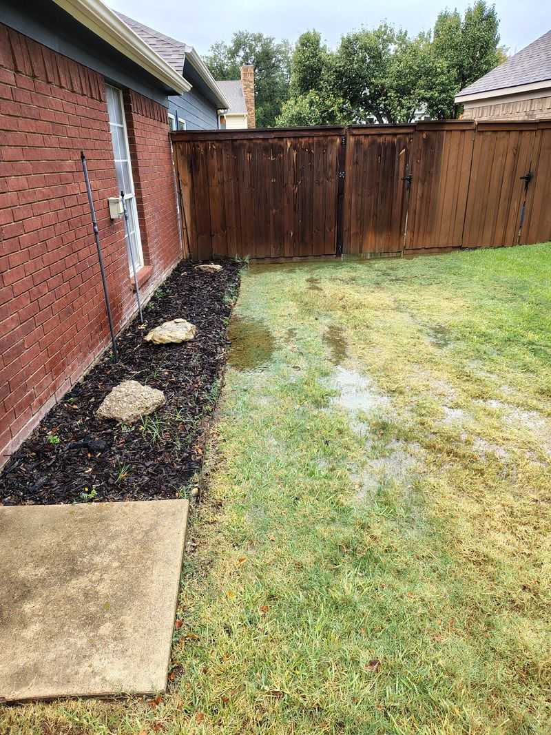 Waterlogged Soil Can Harm Roots Even Without Salt Exposure Waterlogged Soil Can Harm Roots Even Without Salt Exposure