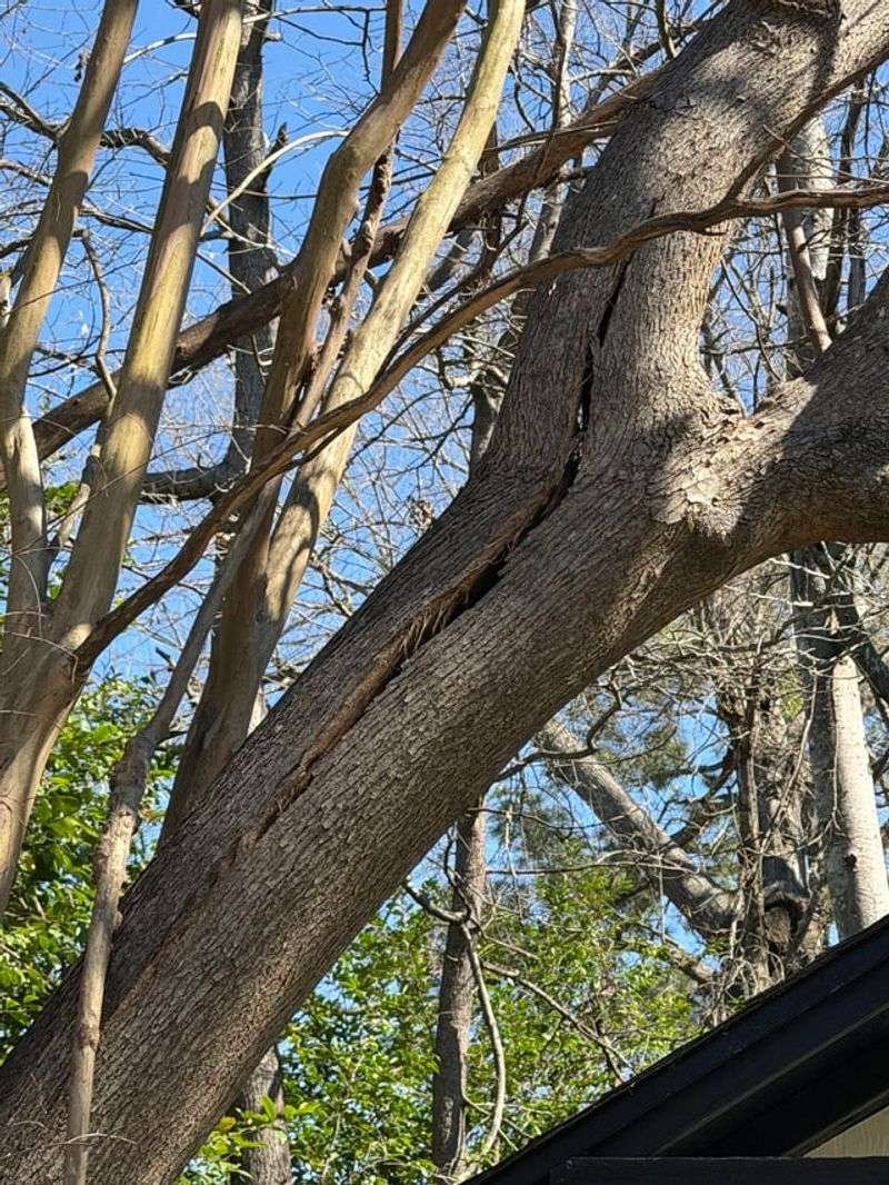 Weak Branch Unions Fail First