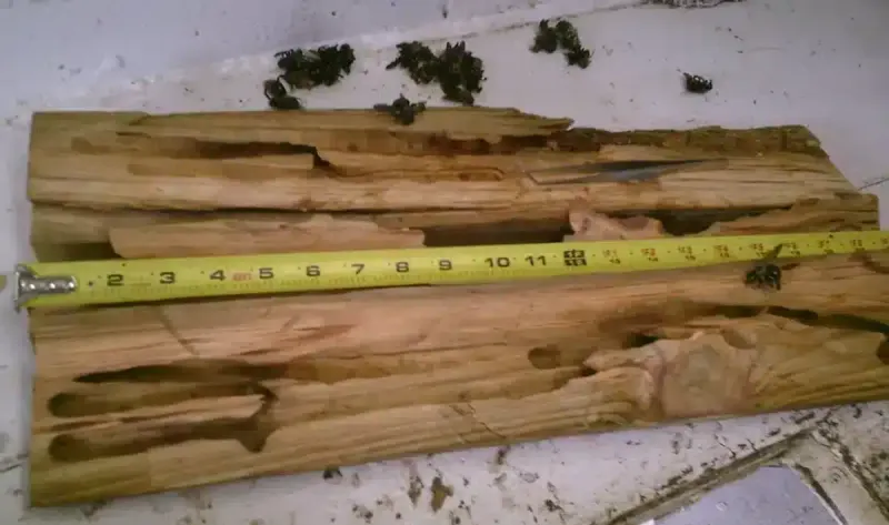 Weakened or Sagging Wood