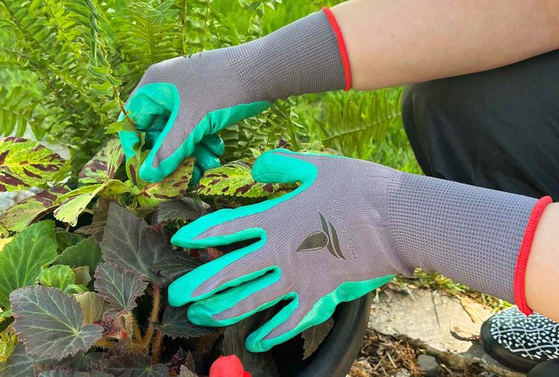 Wear Gloves When Working In Flower Beds Wear Gloves When Working In Flower Beds