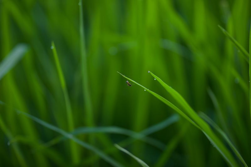 Weather And Freshness Affect Bait Success Weather And Freshness Affect Bait Success
