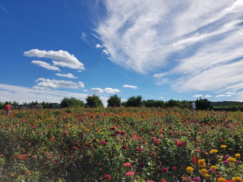 Weed Orchards & Winery Weed Orchards & Winery