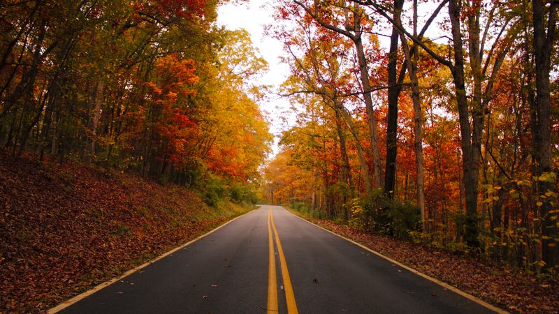 Weekly Foliage Reports Beat Old Calendars