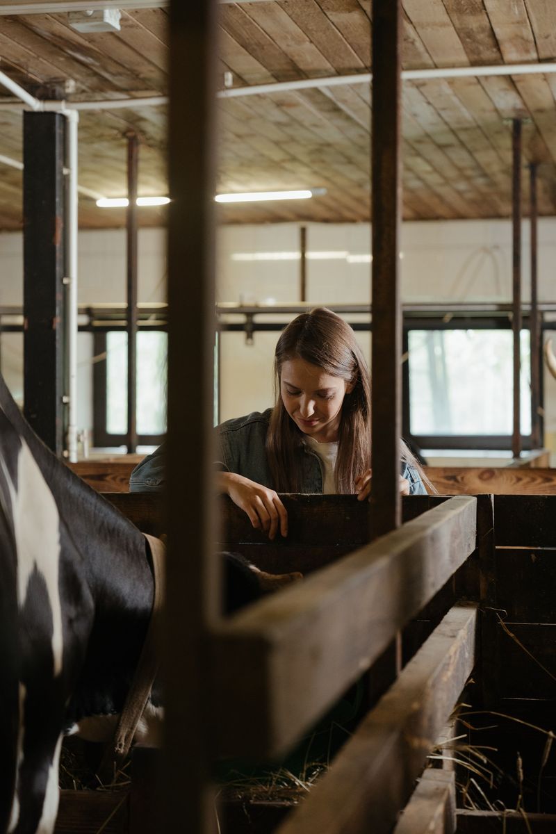 Weigh Animals And Track Body Condition Every Few Weeks Weigh Animals And Track Body Condition Every Few Weeks