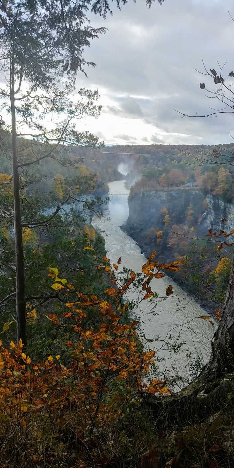 Western New York Takes Its Time Western New York Takes Its Time