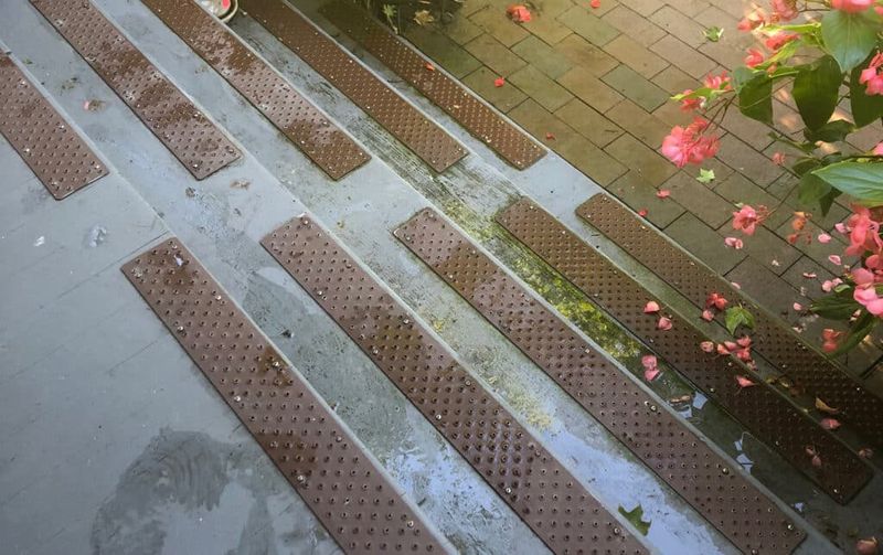 Wet Leaves Make Walks Slippery Wet Leaves Make Walks Slippery