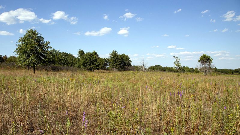 What Happened To Texas Prairies What Happened To Texas Prairies