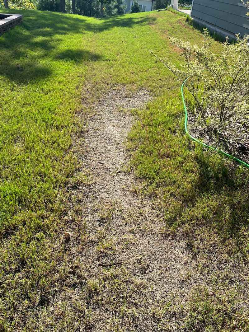 What do the bare spots line up with?