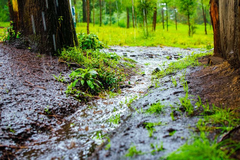 When Caps May Hint At Slow Drainage