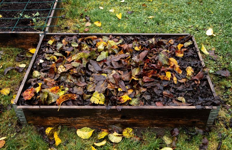When Grass Disappears Under The Shreds, Move Some To Garden Beds