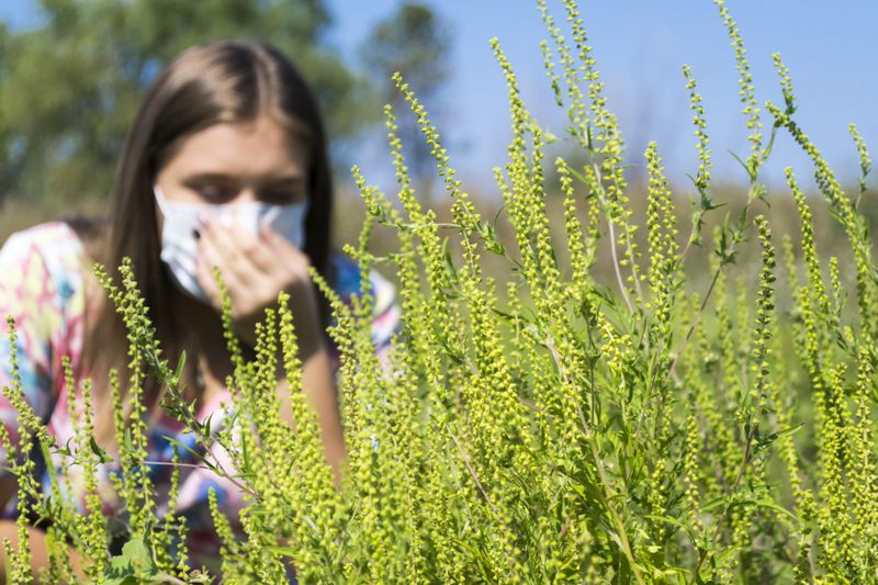 When To See An Allergy Doctor