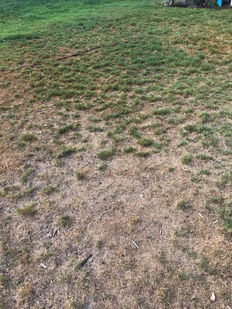 When should you test the soil?