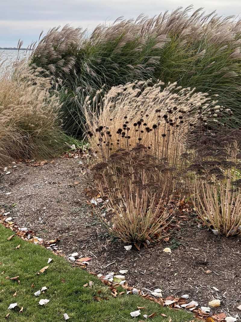 The Garden Cleanup Mistake That Harms Birds In New Jersey
