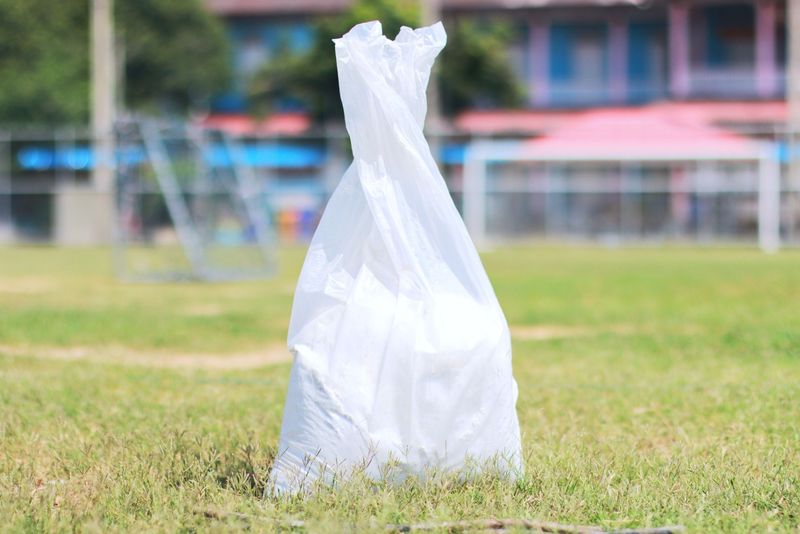 Why Bagging, Blowing, And Burning Leaves Disrupts Winter Insects