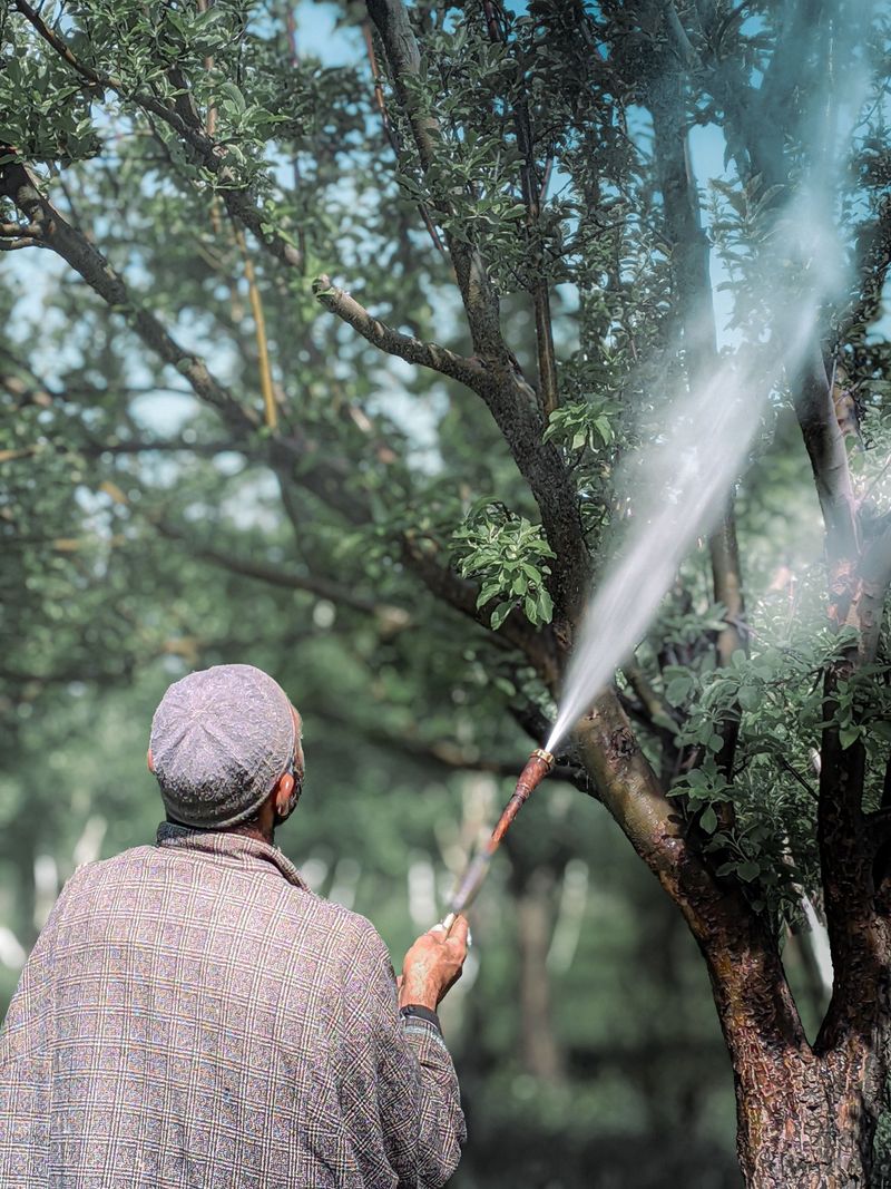Why Broad Sprays Can Make Scale Worse Why Broad Sprays Can Make Scale Worse