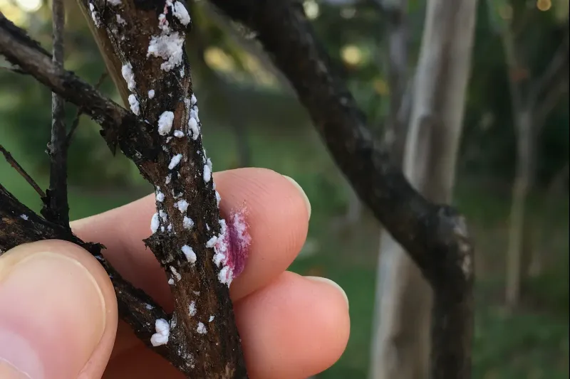 Why Late Fall Is The Perfect Time To Check Why Late Fall Is The Perfect Time To Check