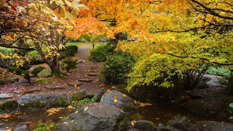 Why Mid October Works Well In Oregon Why Mid October Works Well In Oregon