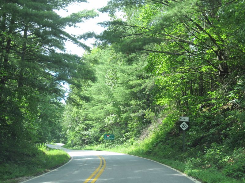 Why Moonshiner 28 Is The Lake Drive To Take