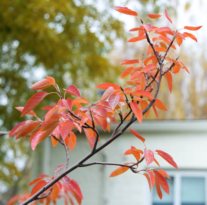 Why October Planting Works So Well 