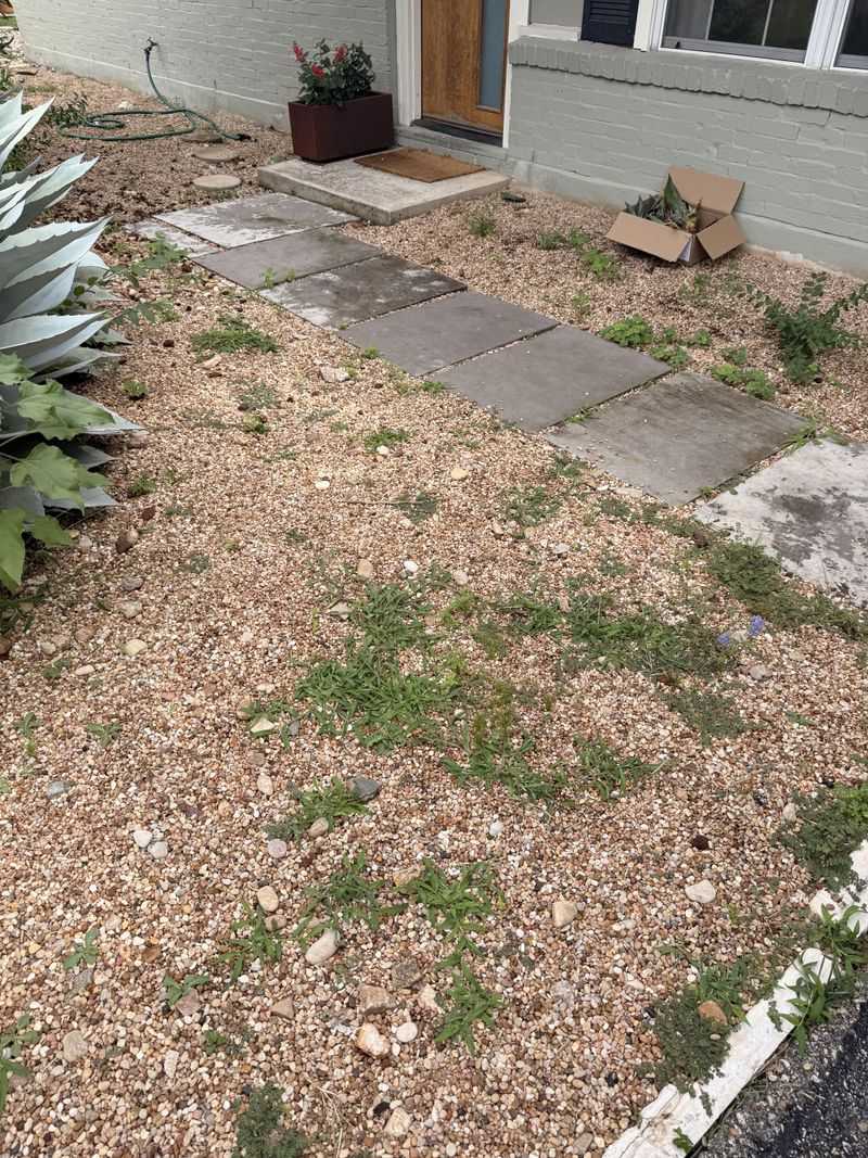 Why Weeds Keep Growing In Gravel