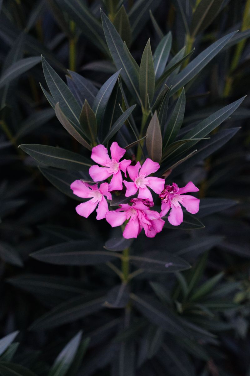 Why Yard Fires Aren't Advised For Clippings Why Yard Fires Aren't Advised For Clippings