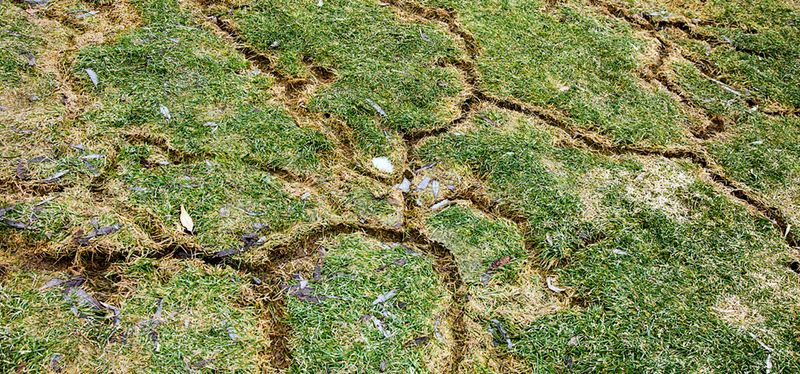 Winding Trails Carved Across The Turf