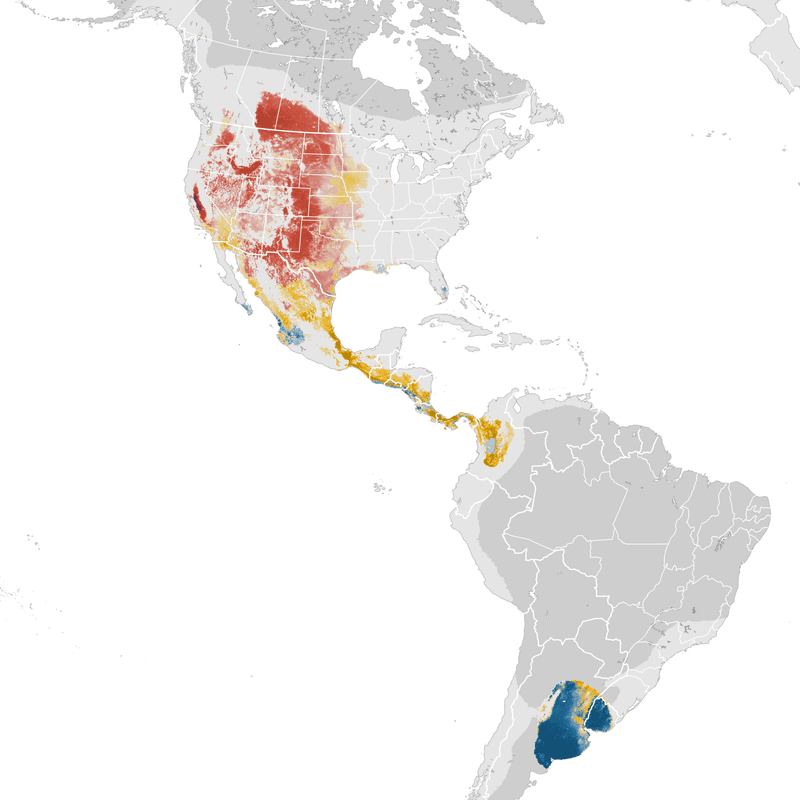 Winter absence is typical, not certain Winter absence is typical, not certain