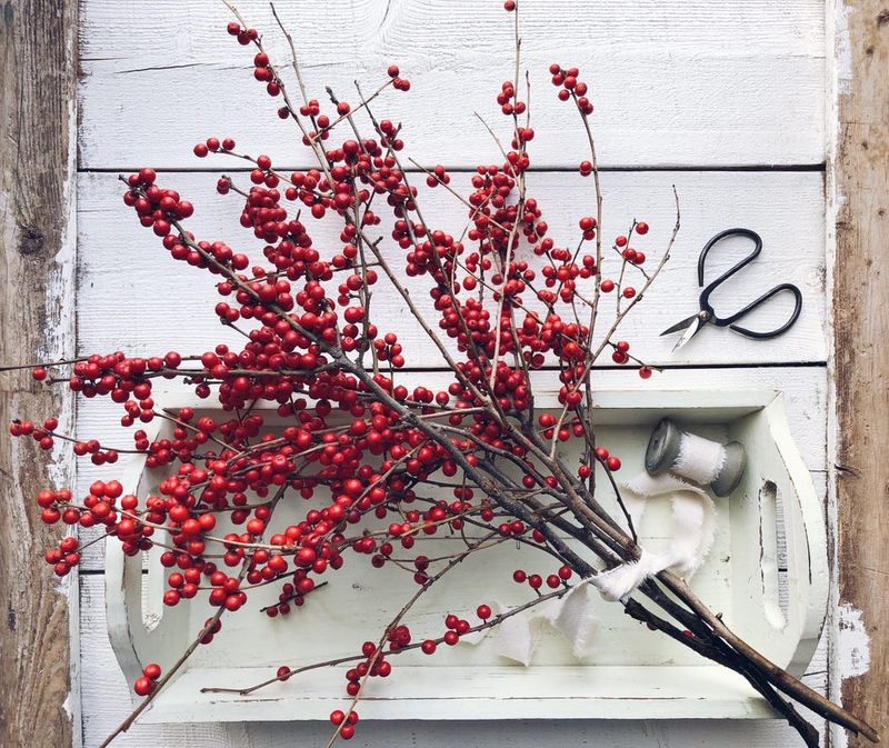 Winterberry Branches Add Bright Red Pops