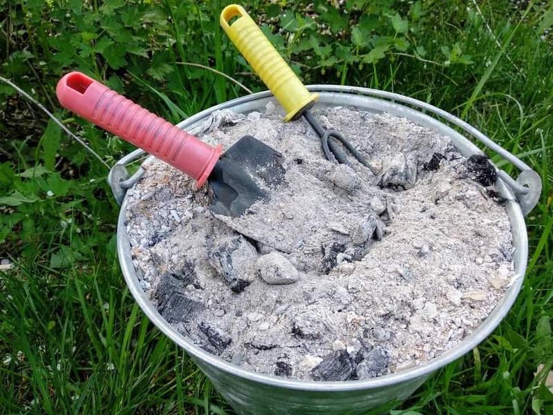 Wood Ash Raises Soil pH And Can Make It Too Alkaline Wood Ash Raises Soil pH And Can Make It Too Alkaline