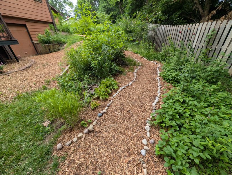Woodland Edges Are Tick Hot Spots Woodland Edges Are Tick Hot Spots