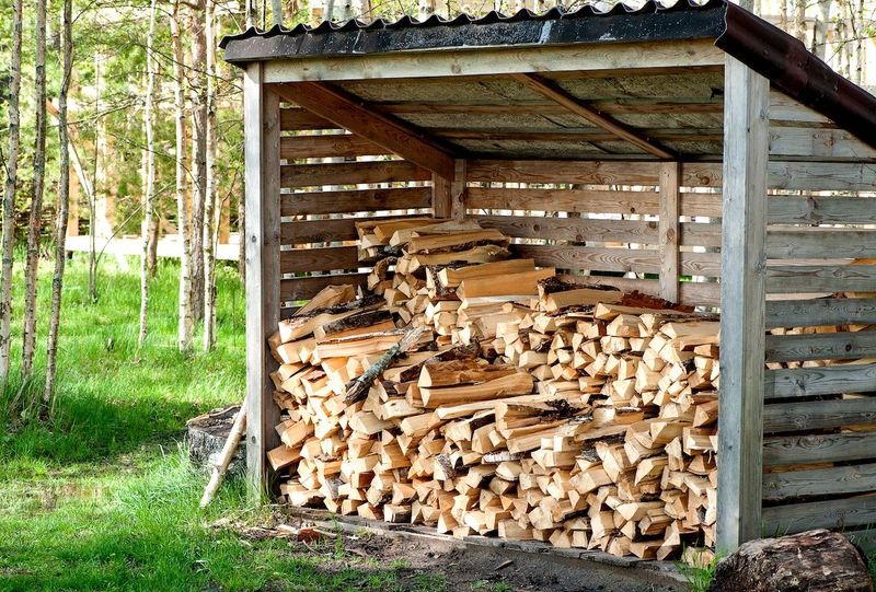 Woodpiles And Stone Walls Shelter Tick Hosts Woodpiles And Stone Walls Shelter Tick Hosts