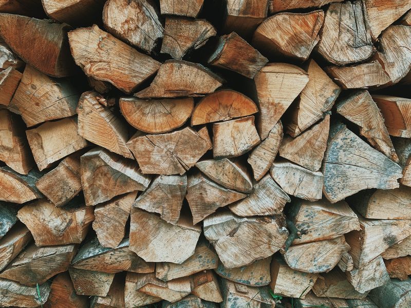 Woodpiles Give Them Another Place To Hide