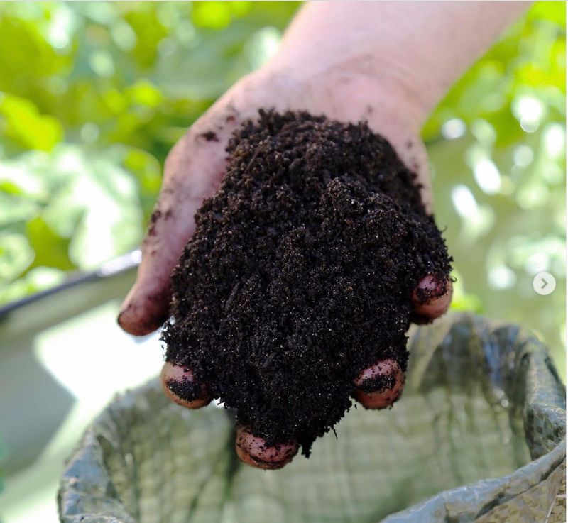 Worm Castings Boost Microbial Activity