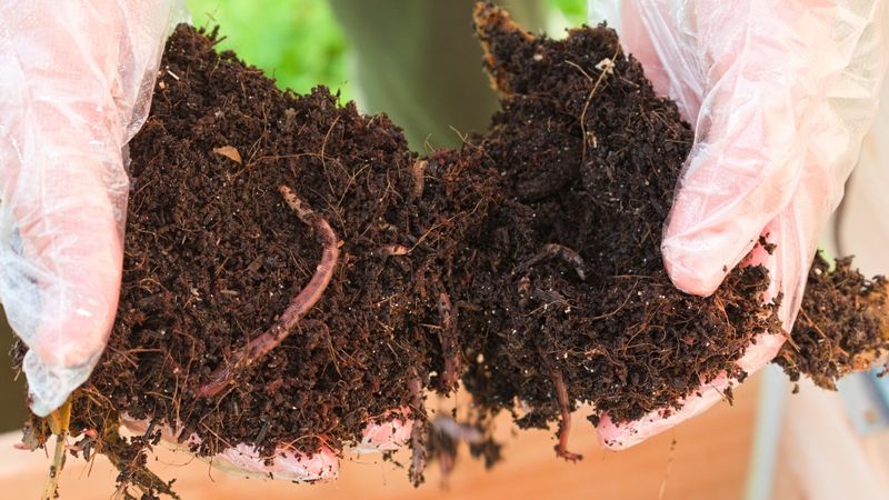 Worms mix soil as they burrow and feed