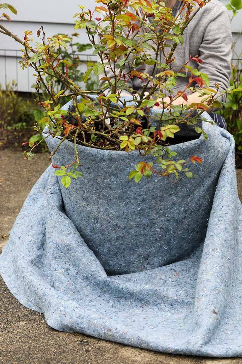 Wrap Containers In A Warm Winter Coat