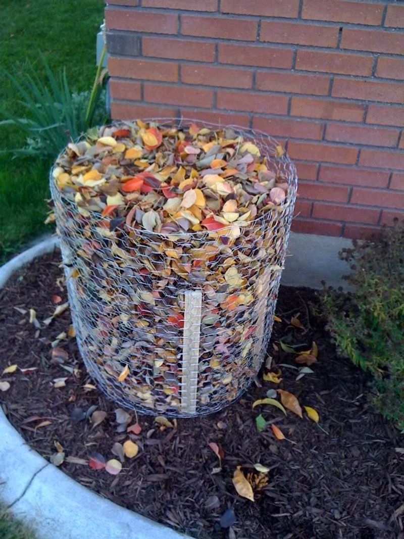 Wrap Tender Bushes With Burlap
