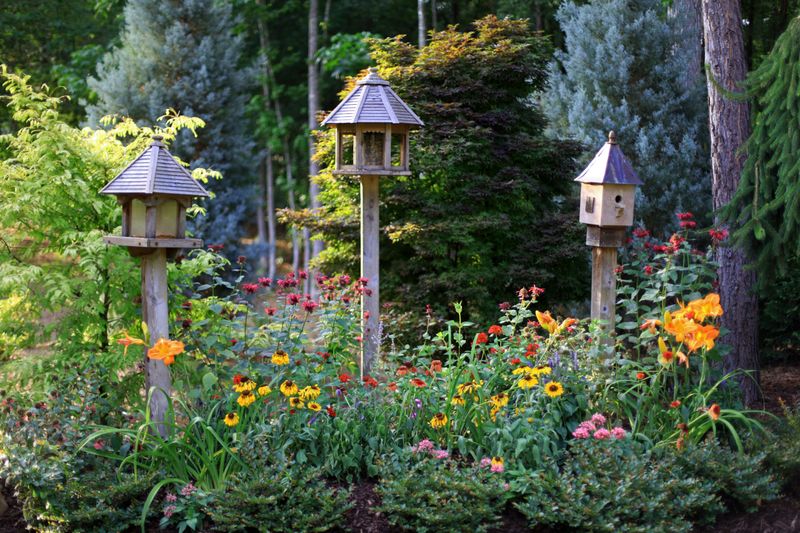 Year-Round Garden Plans For Future Western Visitors Year-Round Garden Plans For Future Western Visitors