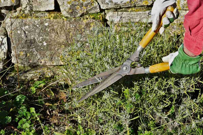 Yearly Pruning Prevents The Problem