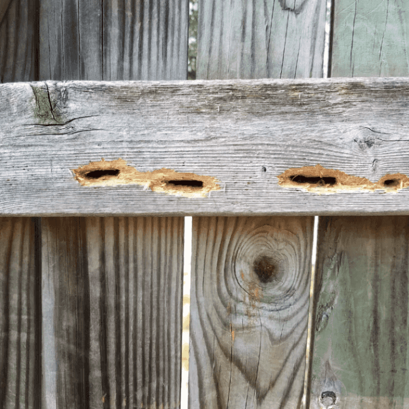 Yellowish or Brownish Stains