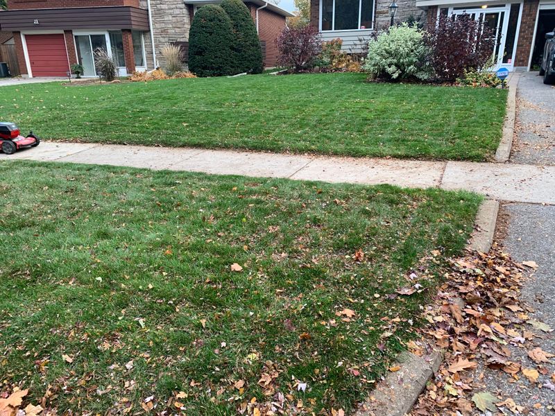 Yes, Mowing Leaves Is Healthy For Lawns