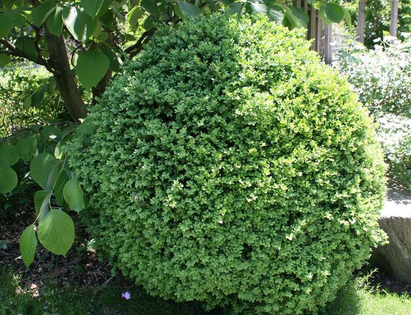 You Can Help Them Hold On to More Green You Can Help Them Hold On to More Green