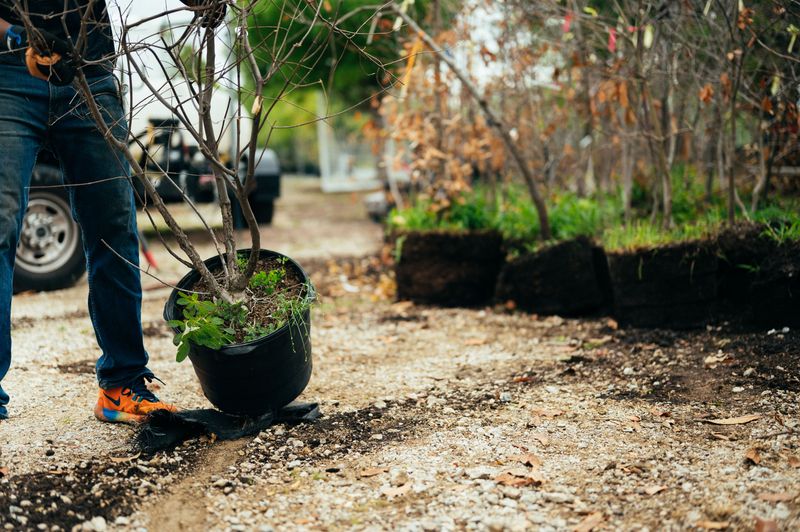 You Can Still Plant Later This Winter If Needed