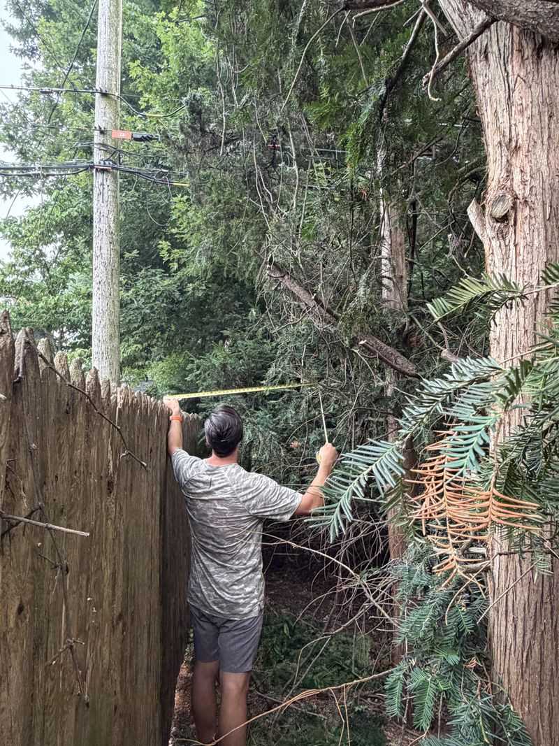 You Can't Harm The Tree Or Step Onto Their Land To Do It You Can't Harm The Tree Or Step Onto Their Land To Do It